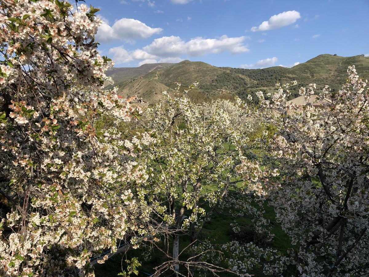 Вилла Вилла Garni Nature Экстерьер фото